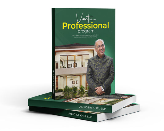 Vastu Professional Program